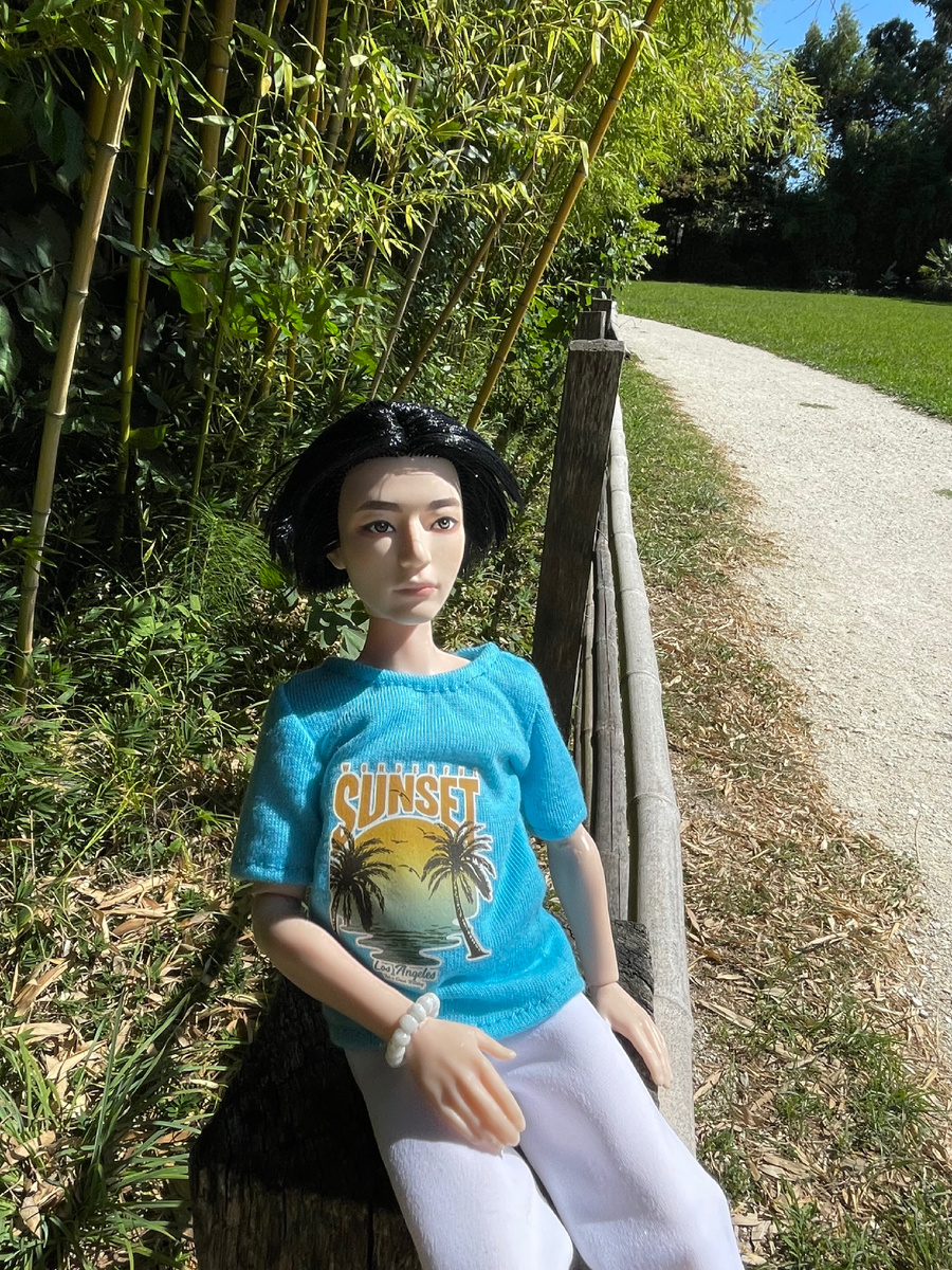 Заросли бамбука 