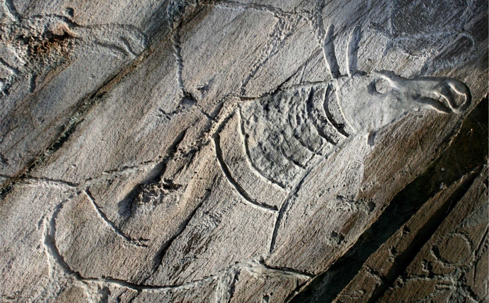 Изображение оленя в Томской писанице