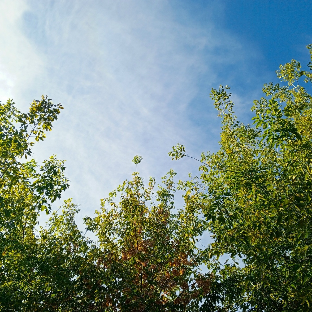 личное фото автора