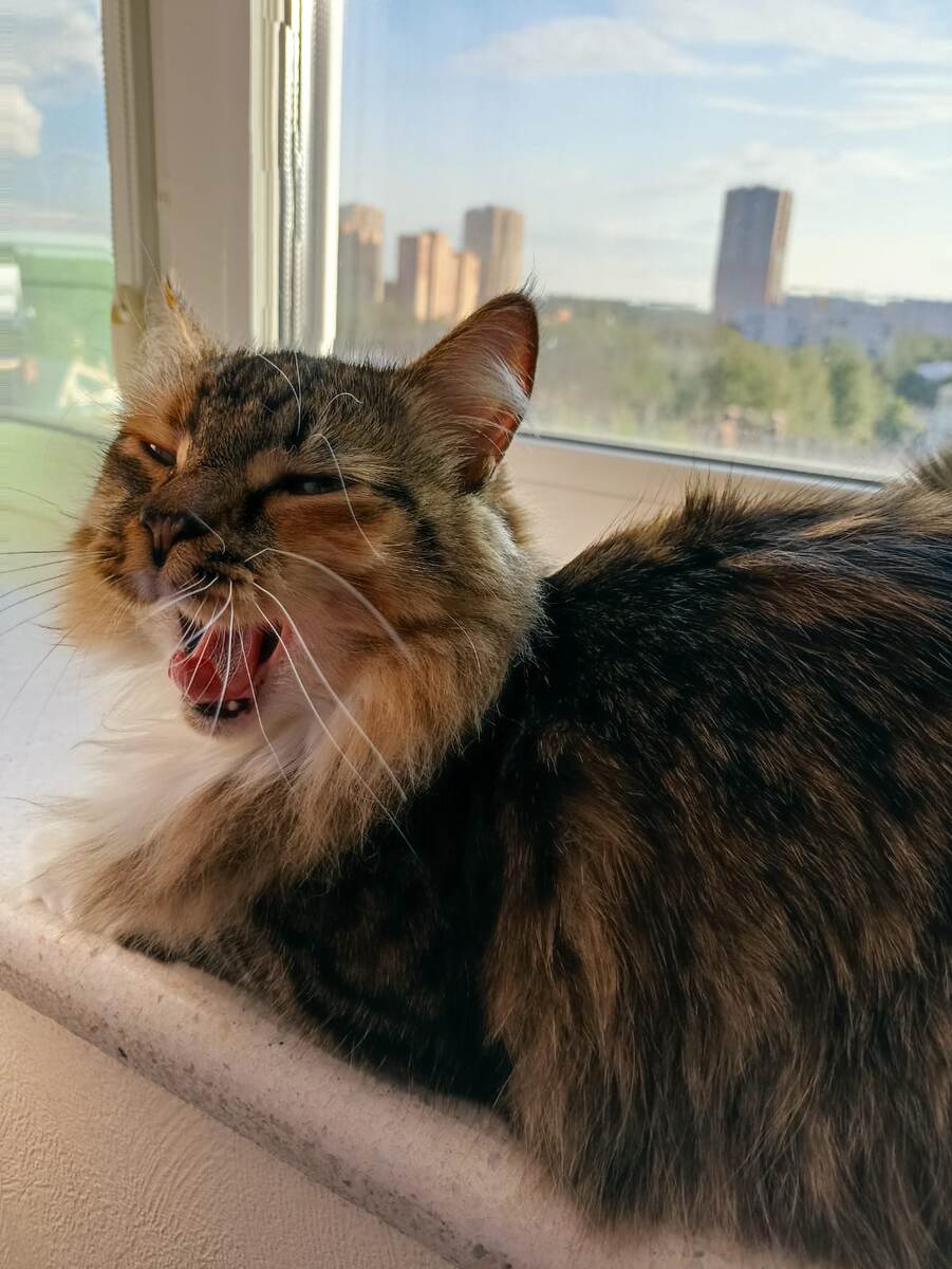 Не спать! Таська на охоту вышла!)) 