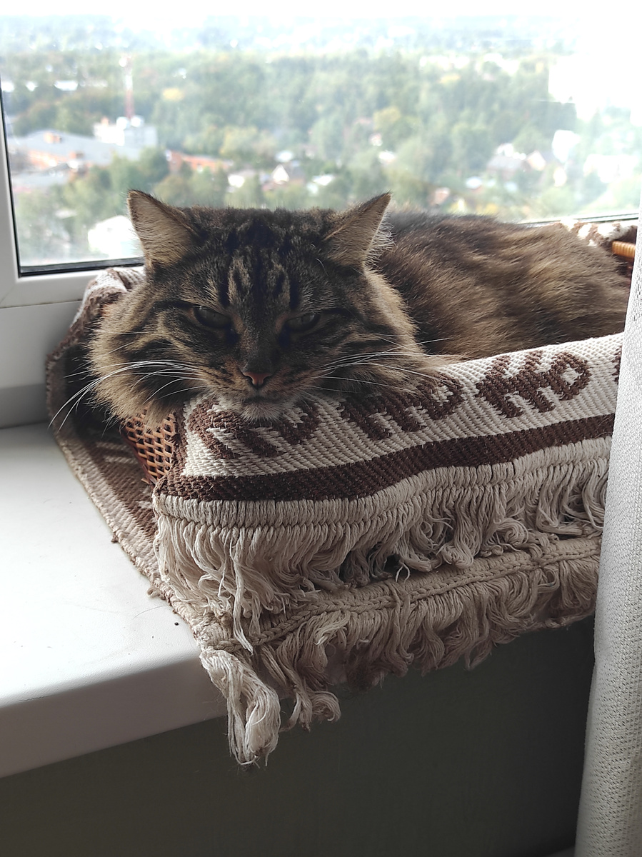 Опять сново-здорово! Поведение... Образцовое у меня поведение, дворянское