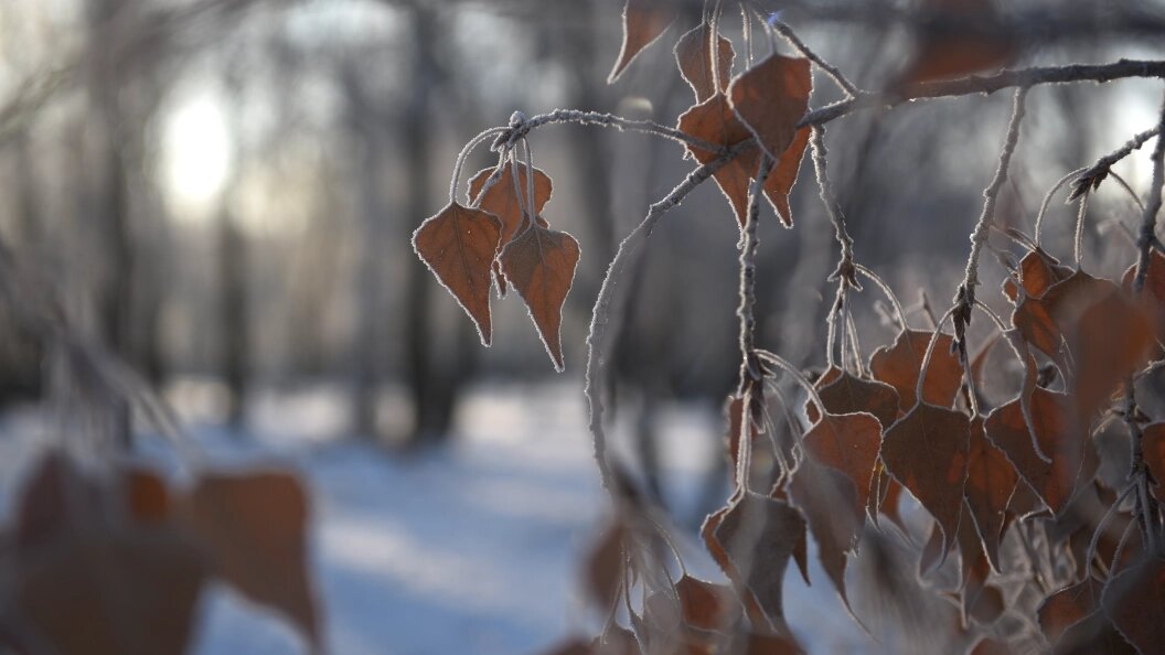    Фото: Олег Рукавицын. Царьград