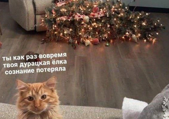 Знаю, что совсем не в тему. Но что-то больно картинка зашла. Фото из открытых источников.