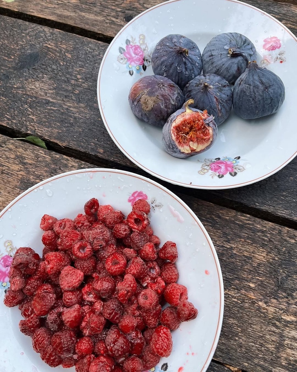 Вайб поездки 