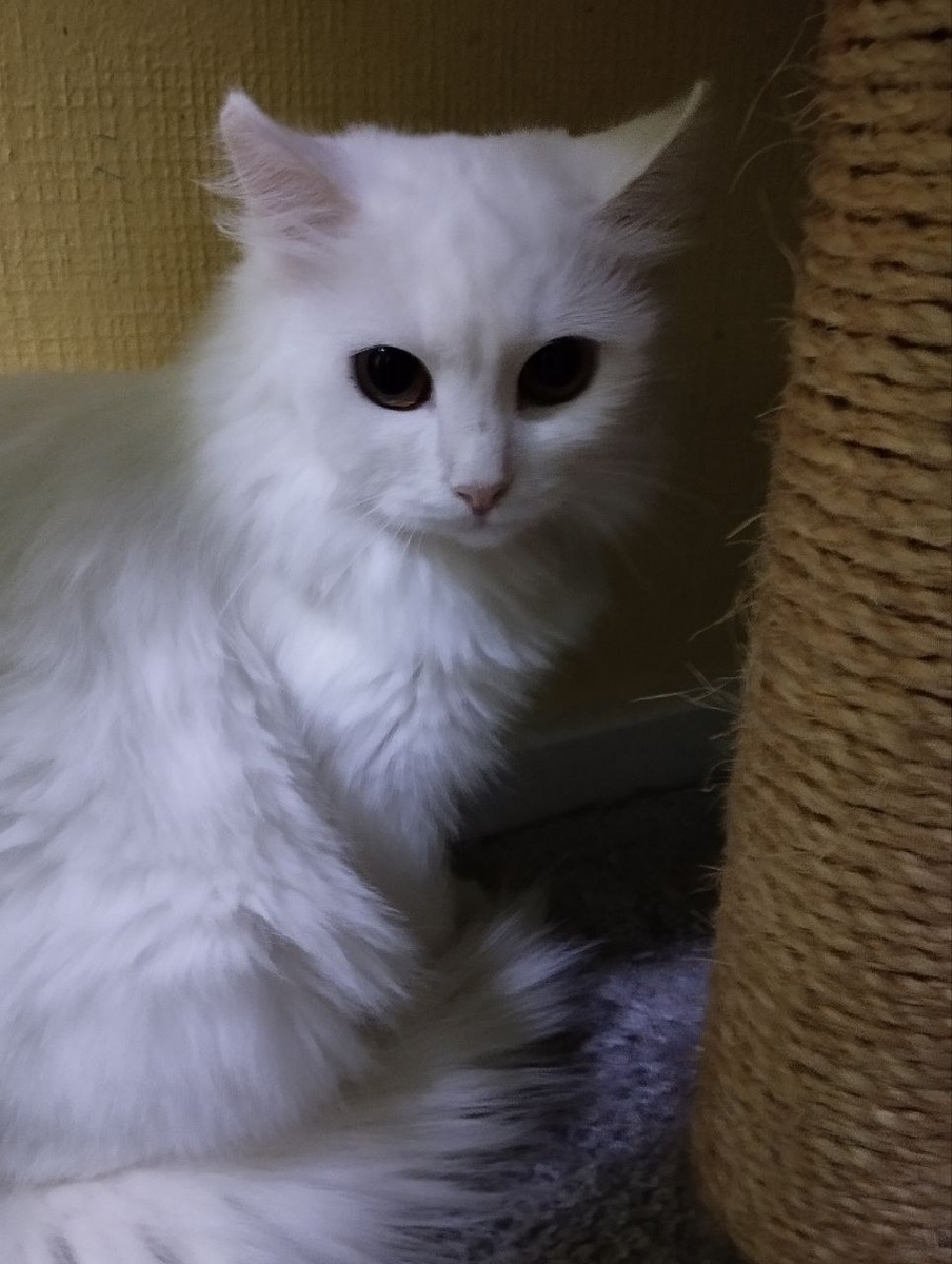 Та самая красота, которая должна была уже давно быть дома