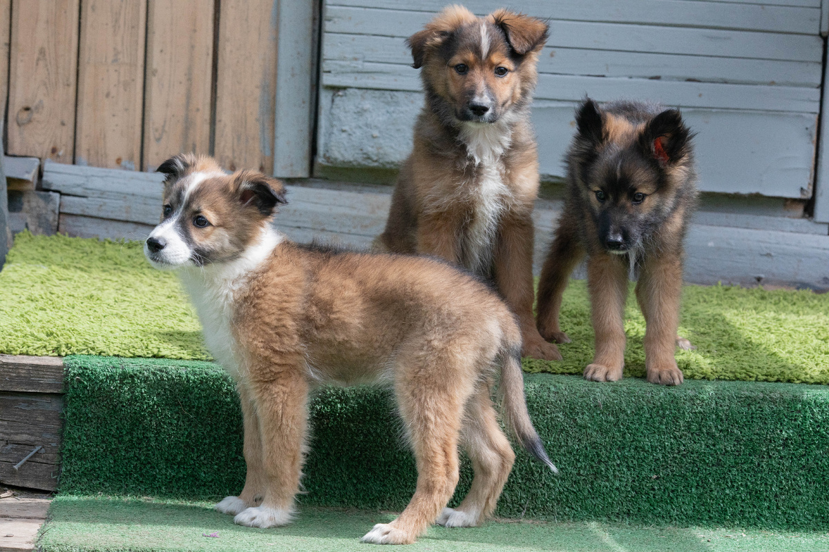 И от нас за игрушки отдельное спасибо!:)