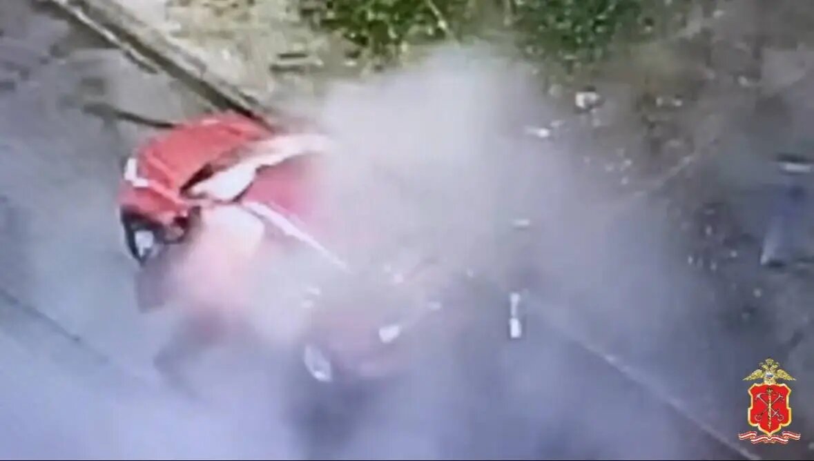    Фото: скриншот видео пресс-службы ГУ МВД по Петербургу и Ленобласти