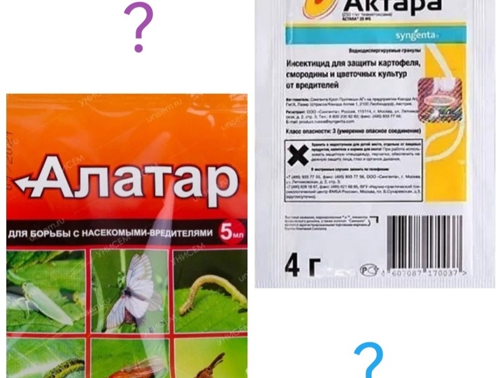 Почему я заменила Актару на Алатар. Разбор и сравнение - нудятина