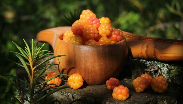     Фото: Anne Nygård on Unsplash