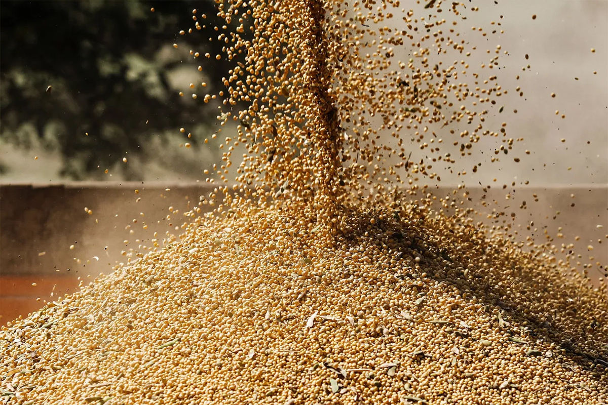    Фото: Виталий Тимкив, источник: РИА Новости