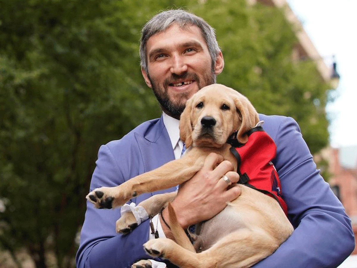    Александр Овечкин с лабрадором-ретривером по кличке Капитан.© Фото : Пресс-служба клуба "Вашингтон Кэпиталз"