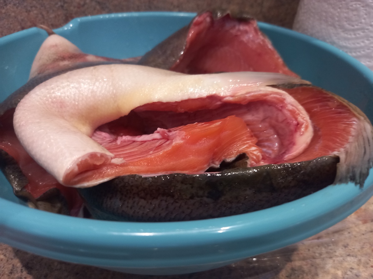 Кета - один из видов рыб для талы