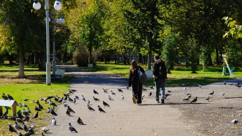     Парк Дмитрий Лямзин