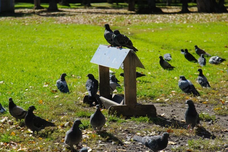 Листайте вправо, чтобы увидеть больше изображений