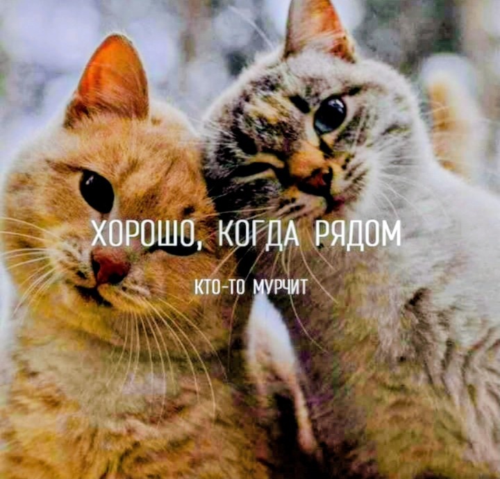 Картинка из интернета 