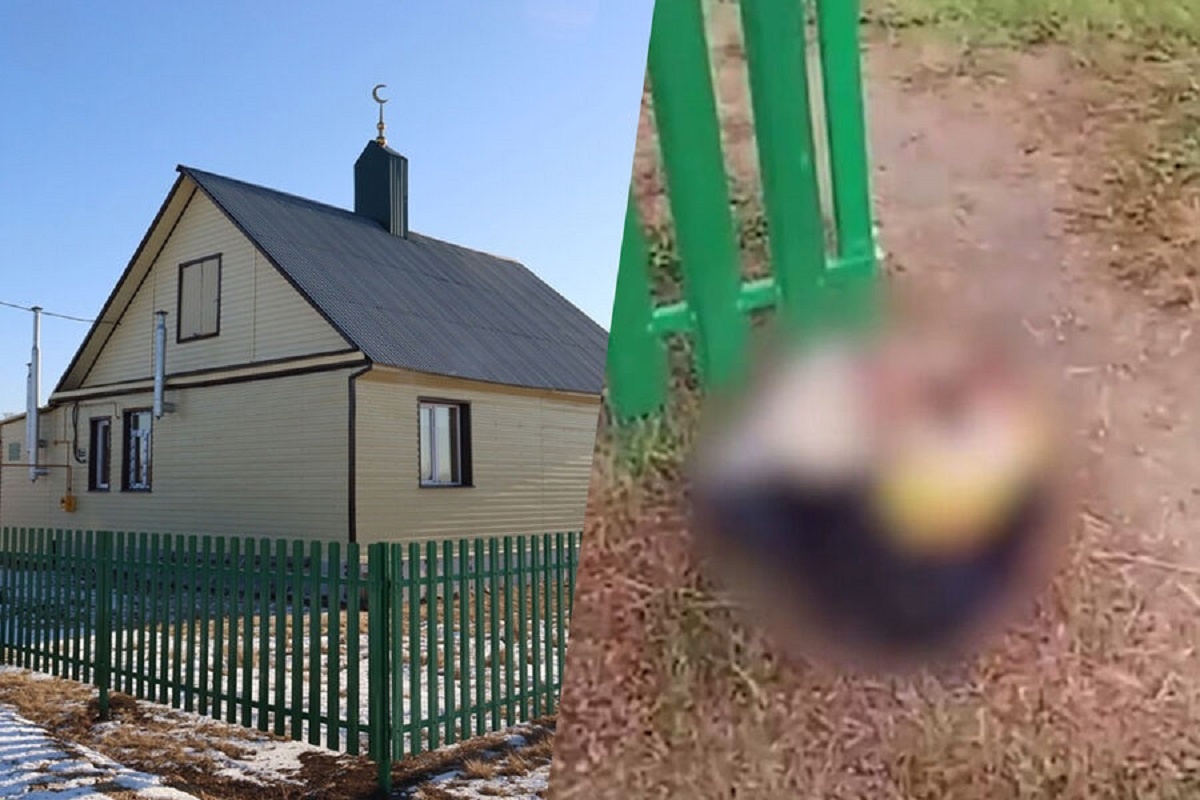    Фото: Подслушано Чесма, источник: VK/Соцсети