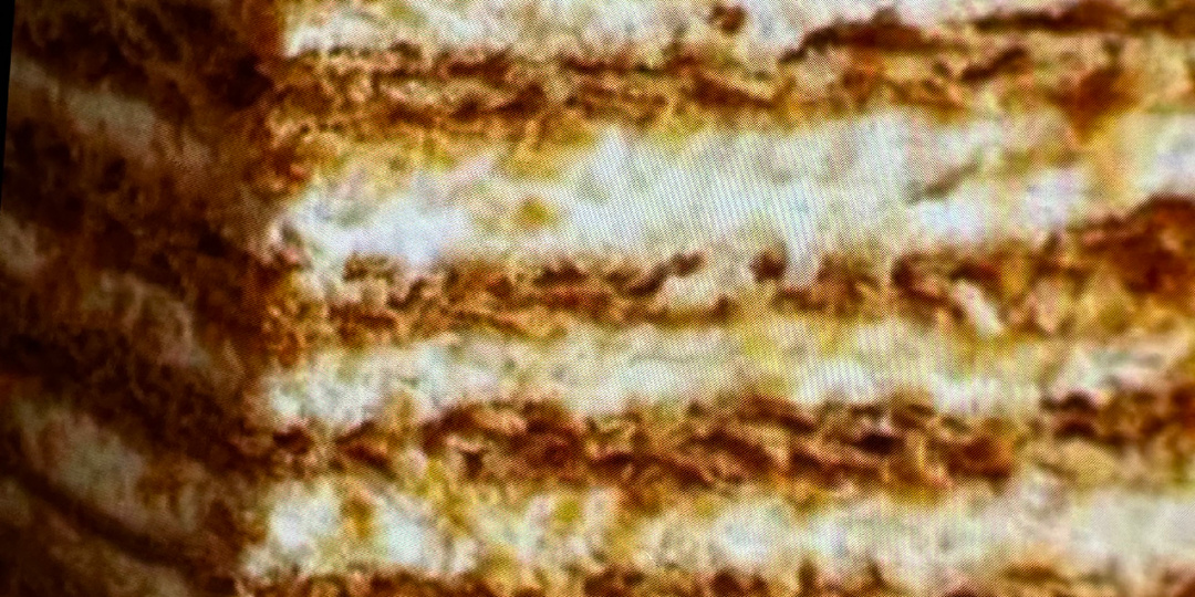 МЕДОВИК или НЕТ?