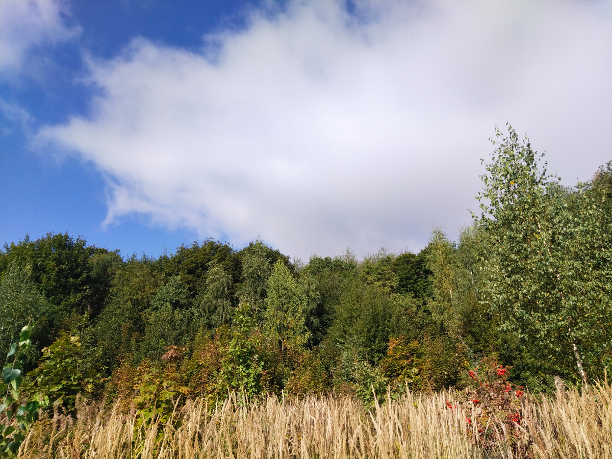 Личное фото