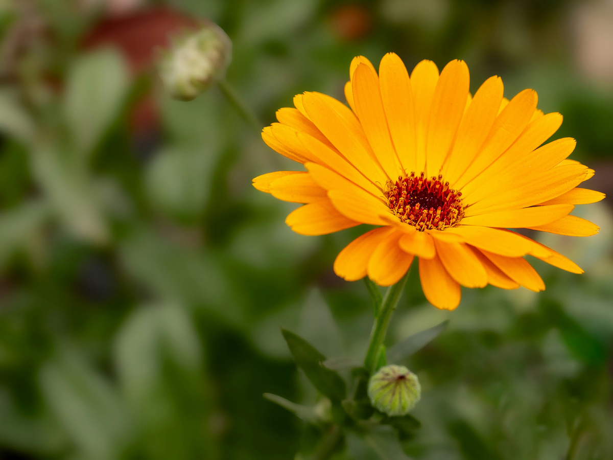 Фото Мохамеда Марея на Unsplash