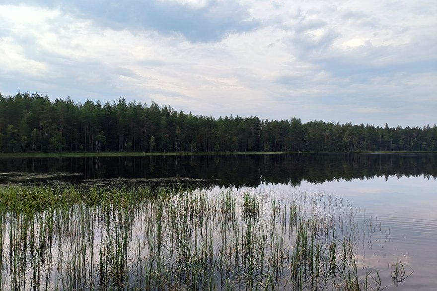    Фото: Global Look Press