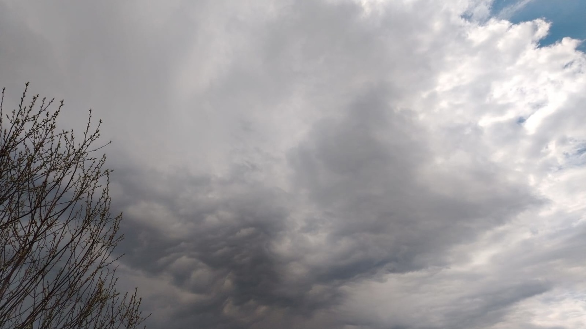    Синоптики предсказали необычную зиму в России. Такого никто еще не видел