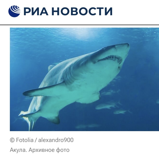 Фото от РИА Новости