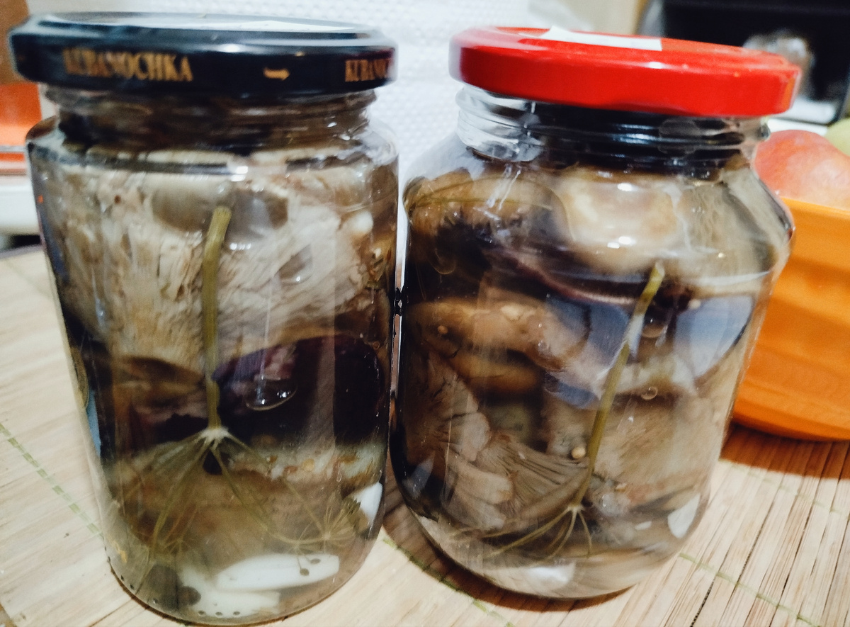 Начало положено