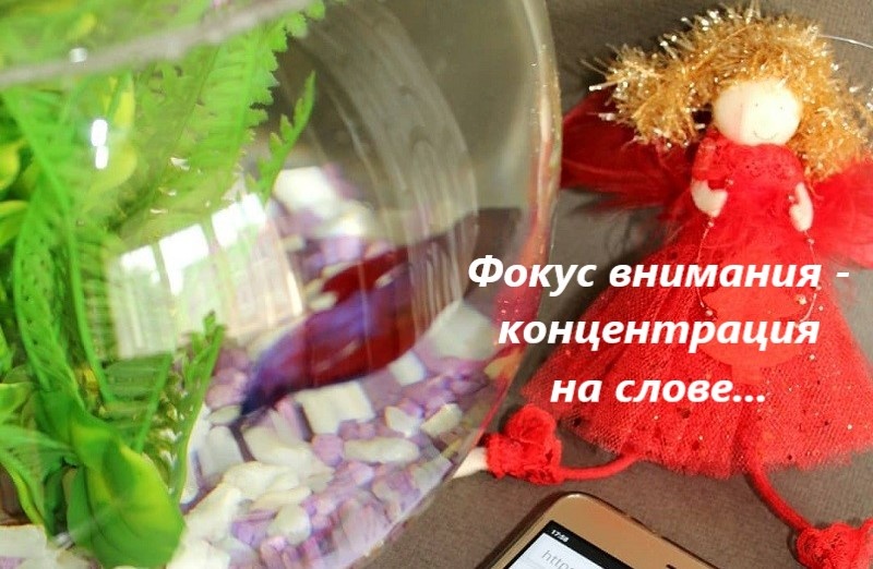 Фото из личного архива