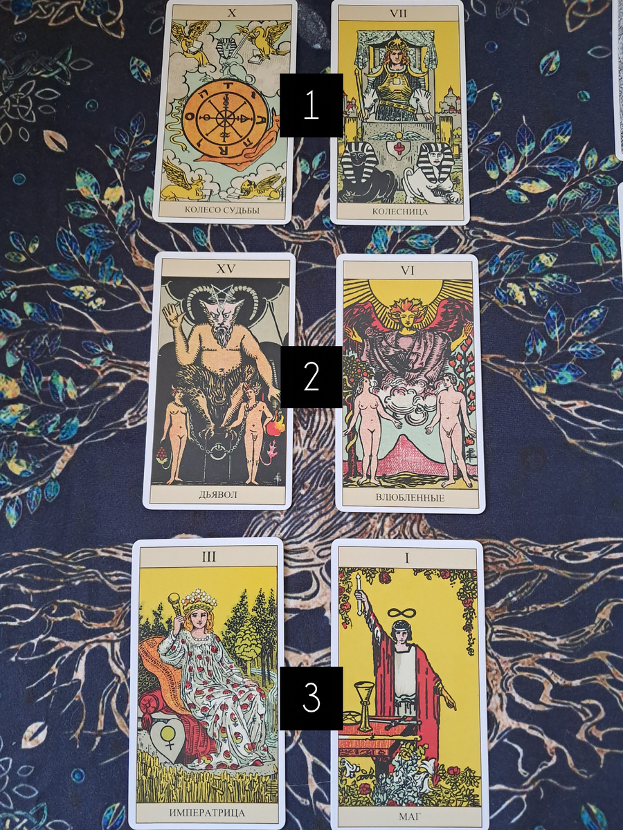 Фото автора.