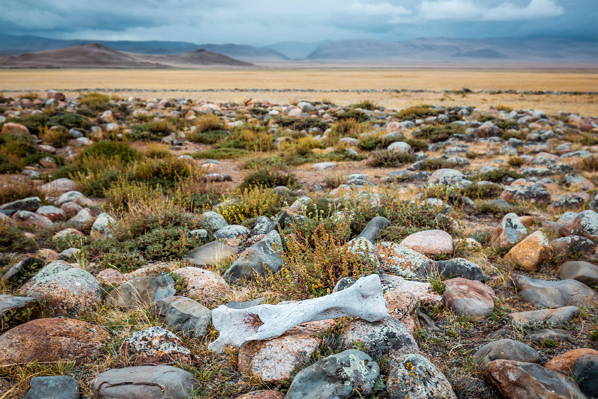 В долине реки Юстыд