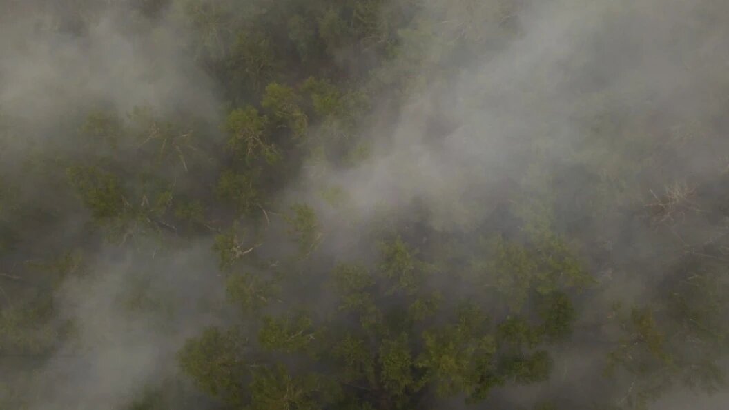    Komsomolskaya Pravda/Globallookpress