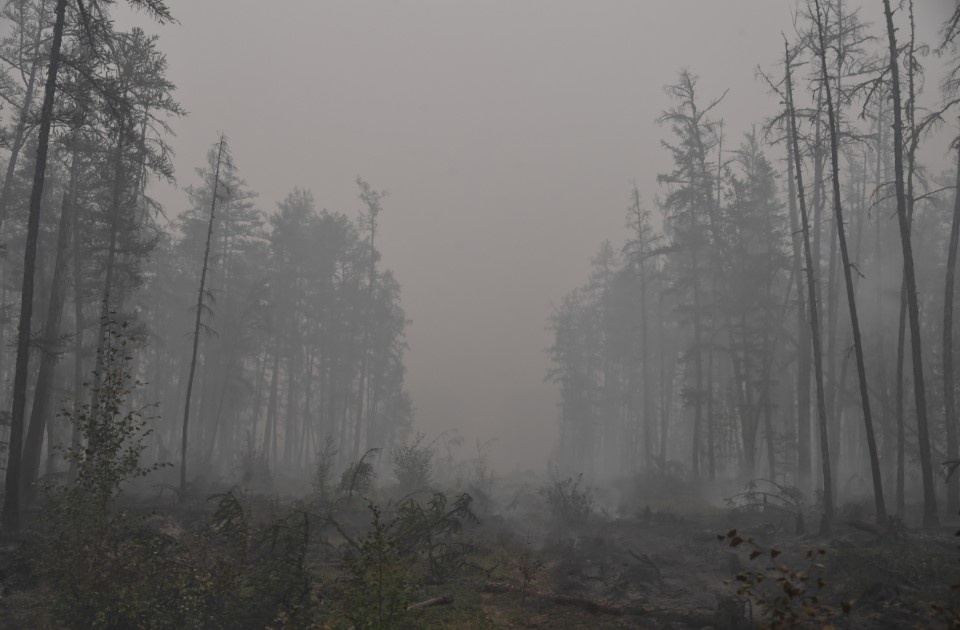    Фото: Komsomolskaya Pravda/Globallookpress