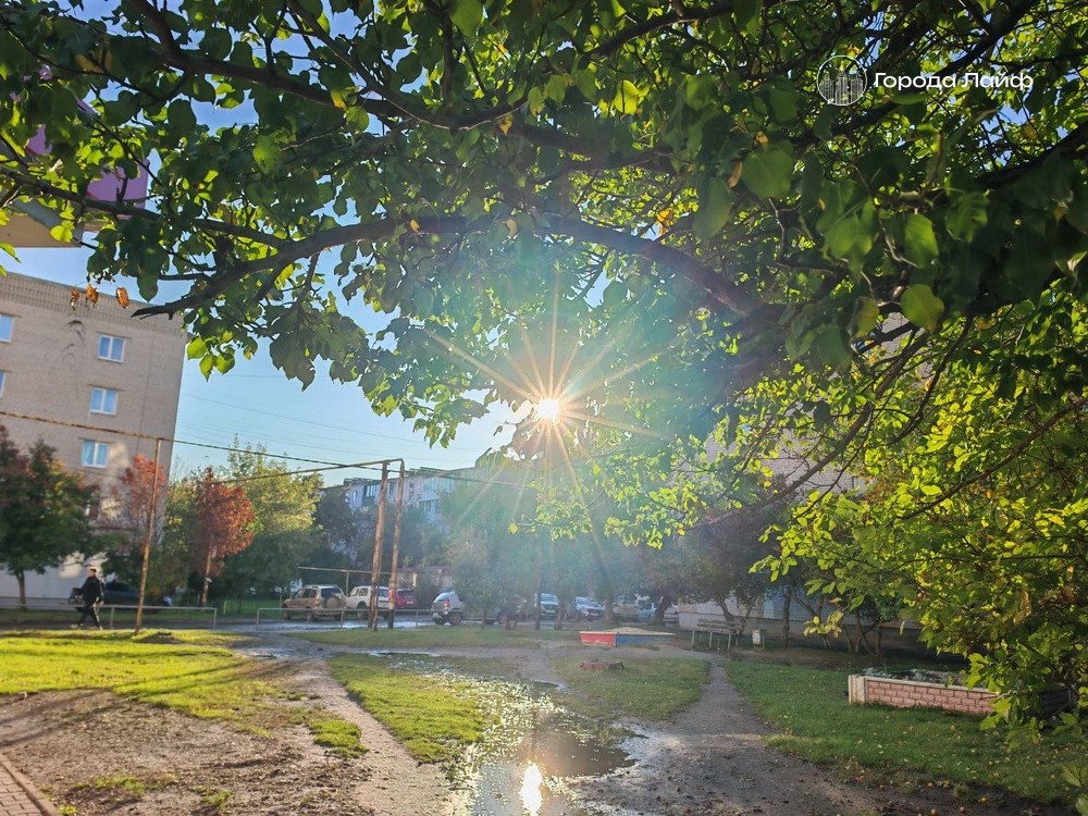     Фото: Города Лайф