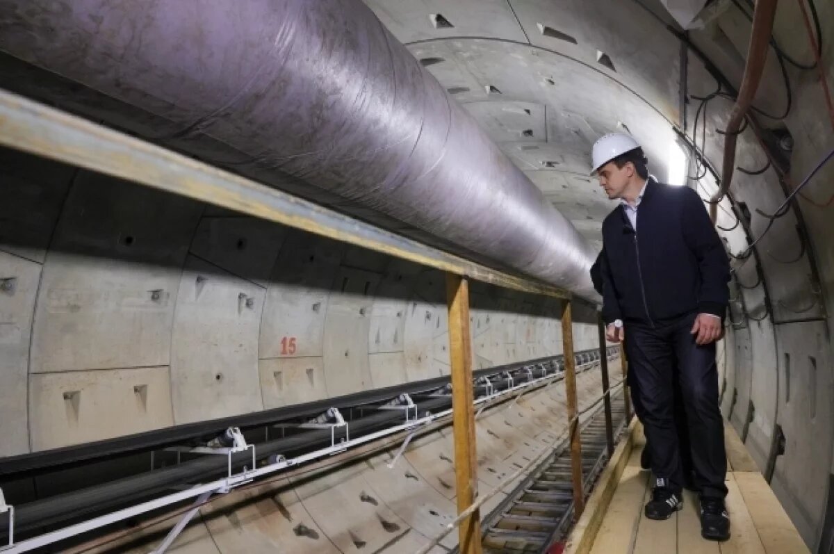    Михаил Котюков рассказал, какие составы закупят для красноярского метро