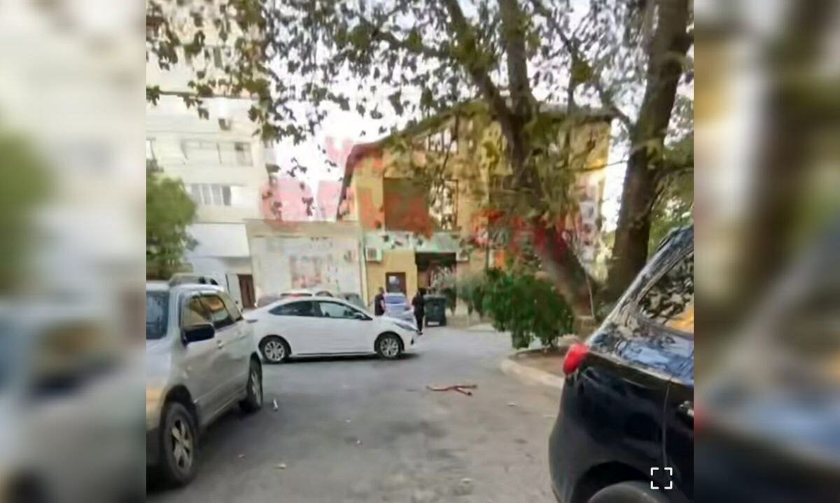    Скриншот видео t.me/pva_chp