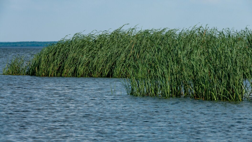    Svetlana Vozmilova/Globallookpress