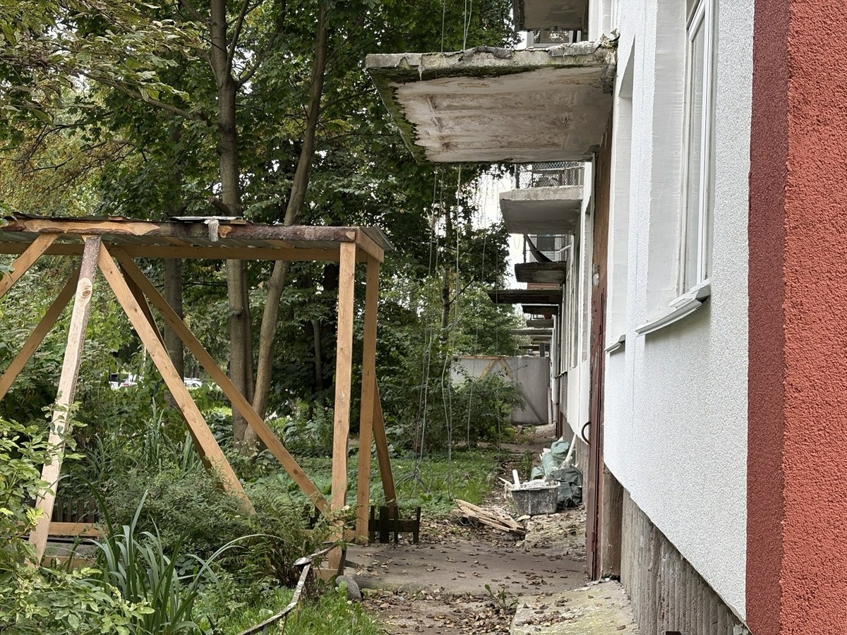 Фото: Neva.Today