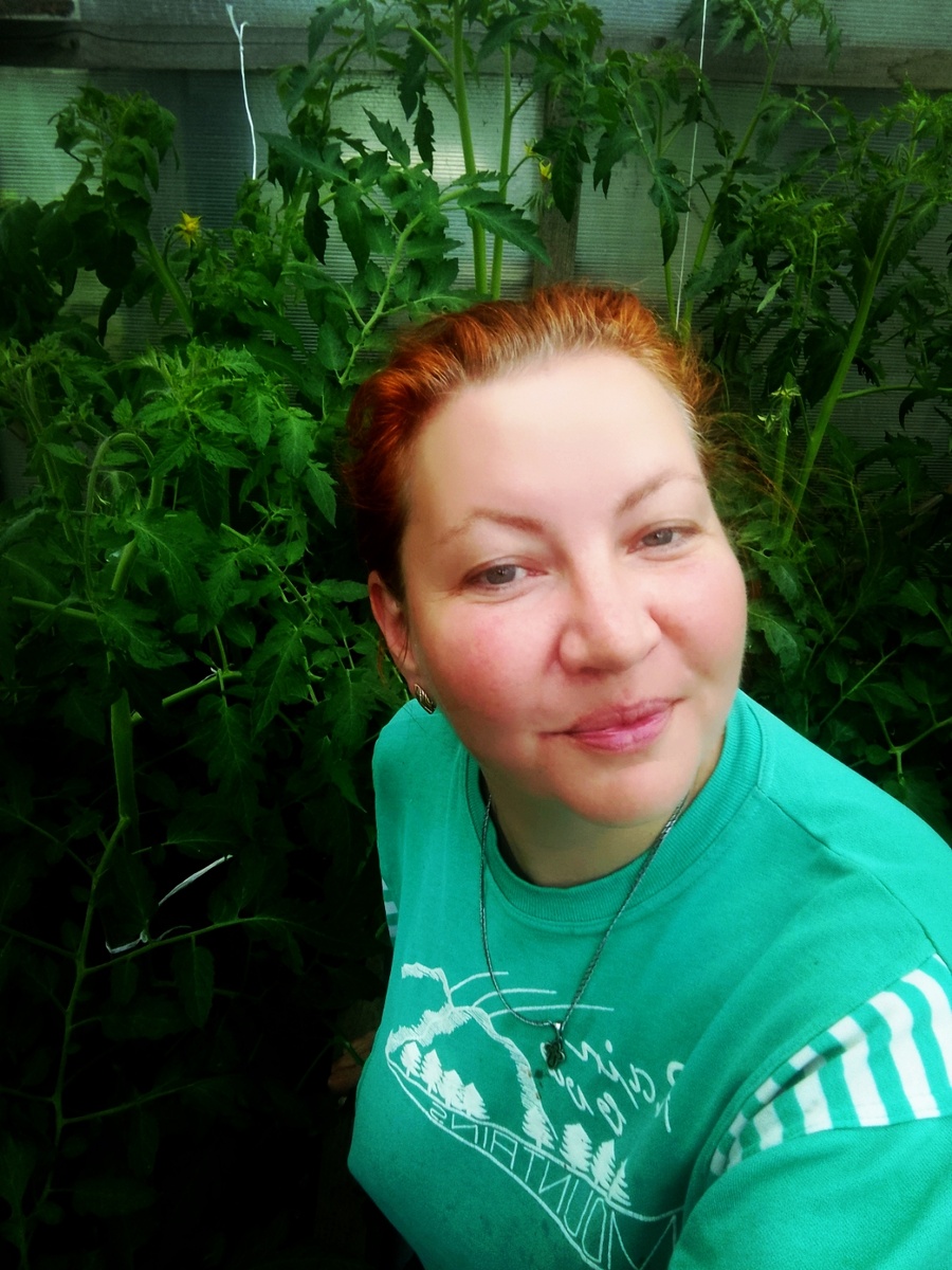 Томаты сказали мне спасибо, конец июня