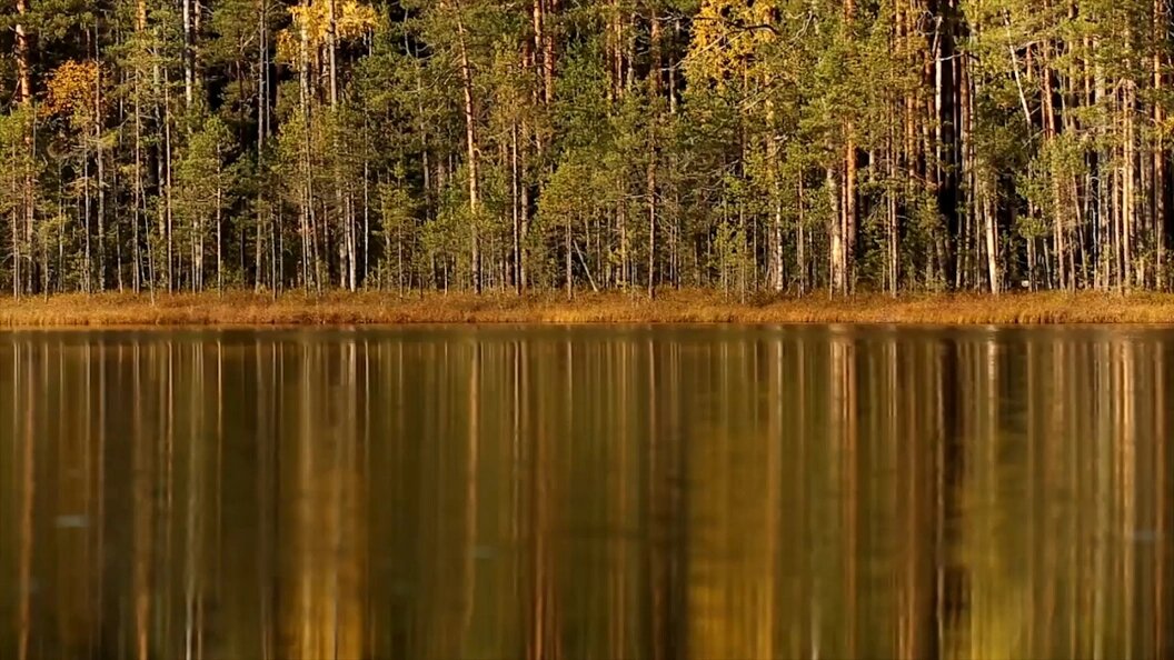    Фото: Царьград