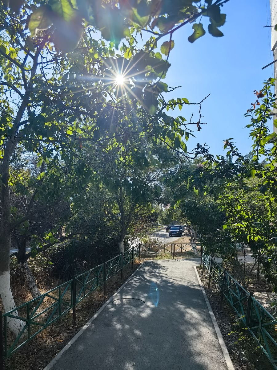 Сегодня. Фото автора канала