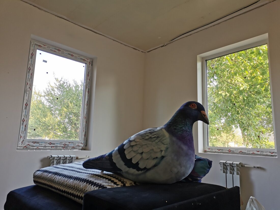 Листайте вправо, чтобы увидеть больше изображений