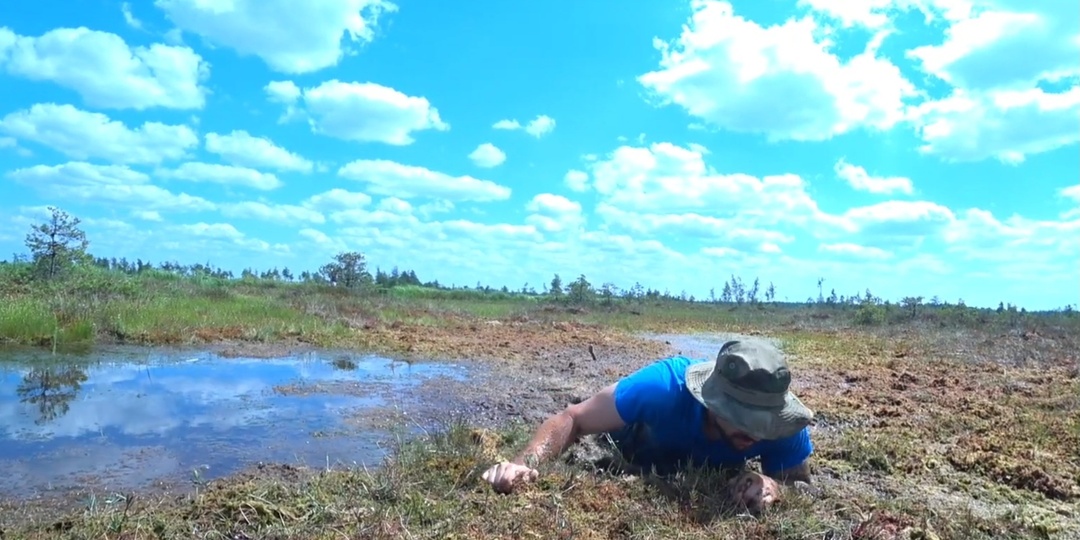 Грибник утонул в болоте