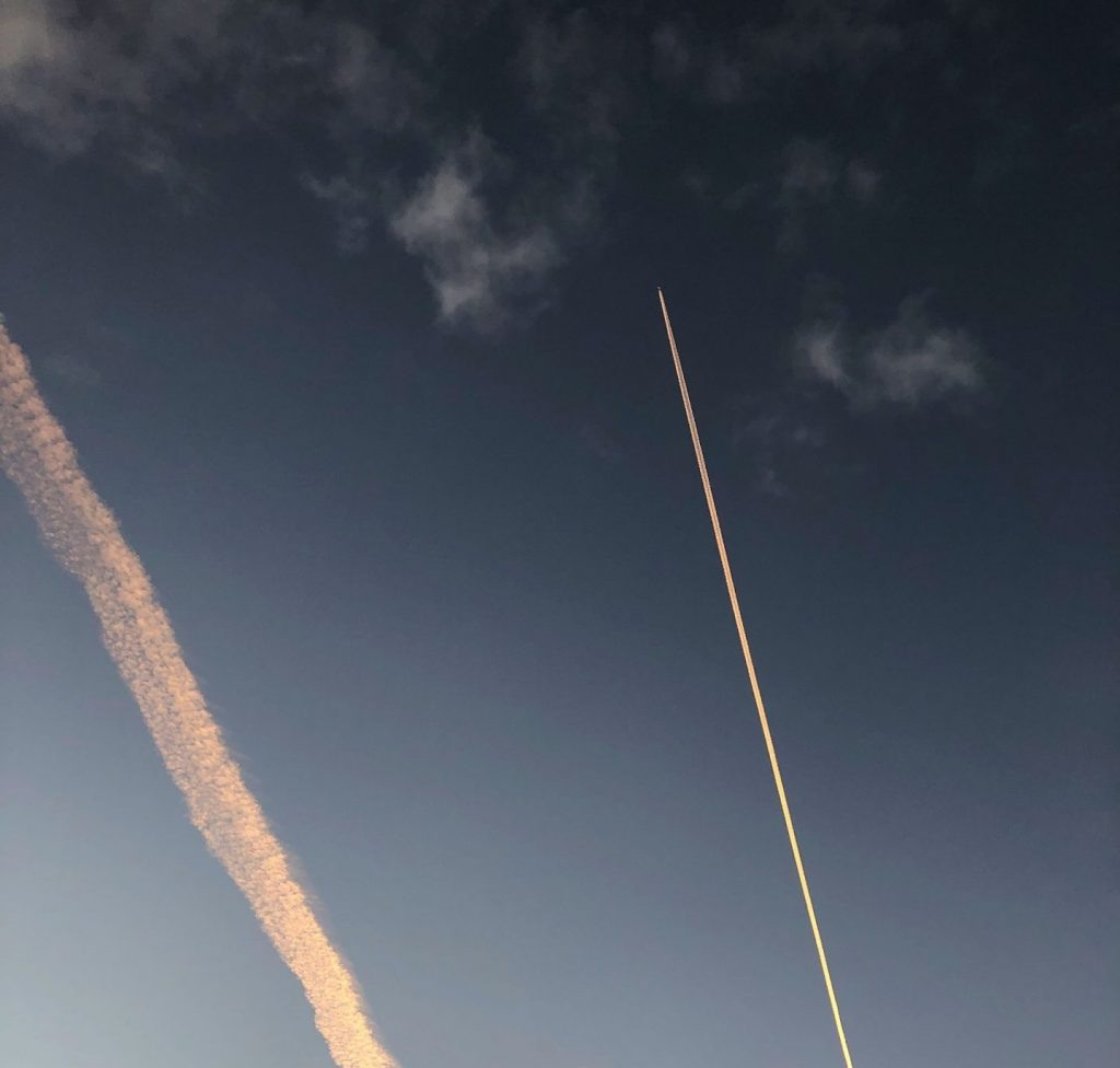    Фото: freepik.com Редактор