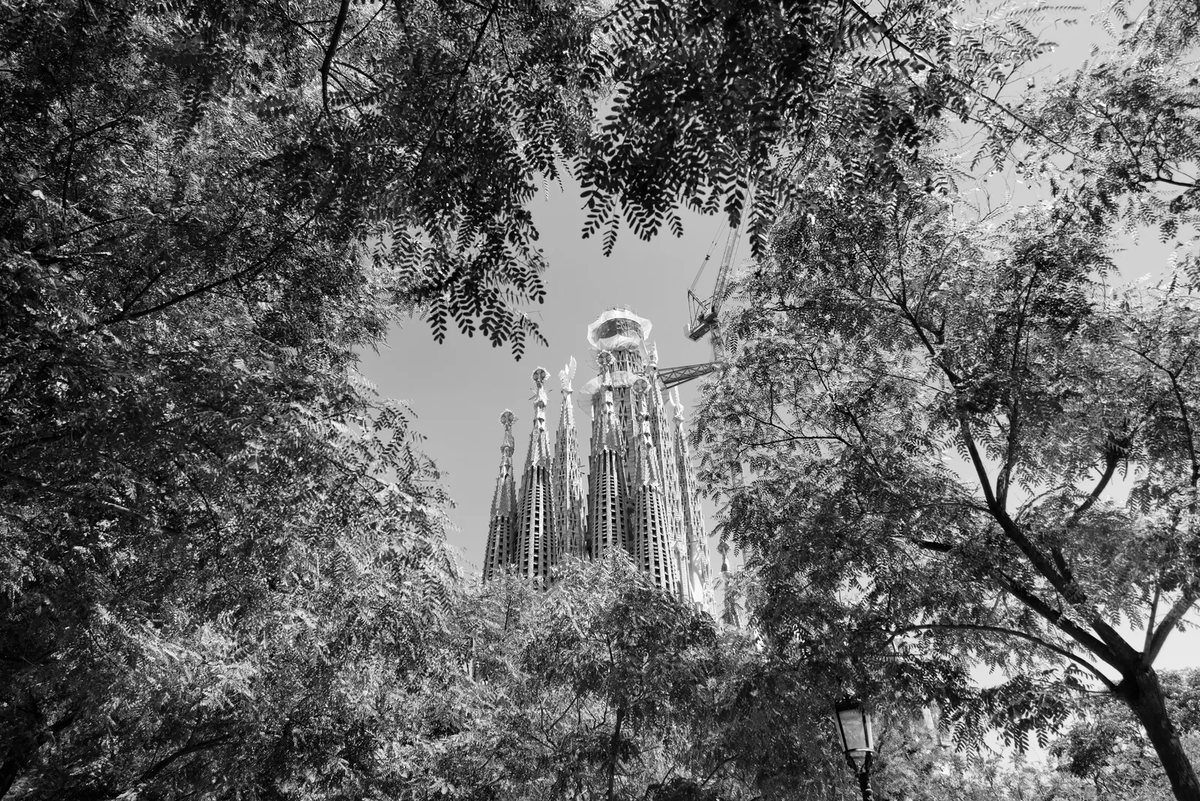 Вид церкви в июле 2025 года. Каталонский архитектор хотел, чтобы Саграда Фамилия, строительство которой началось в 1882 году, строилась по частям, чтобы дать возможность последующим архитекторам оставить свой стилистический след. Однако его эстетика настолько необычна, что любое отклонение от неё может быть воспринято как акт вандализма. Фотографии Паоло Пеллегрина / Magnum для The New Yorker.