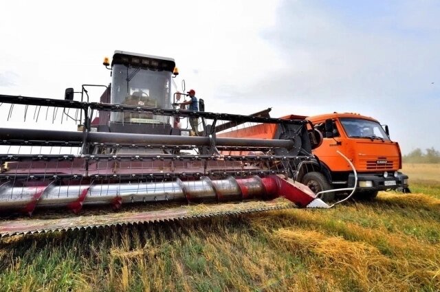    Введение режима ЧС открывает ряд важных возможностей для аграриев. Это позволит сельхозпроизводителям, застраховавшим свои посевы, обратиться за получением выплат. Фото: Минсельхоз УР