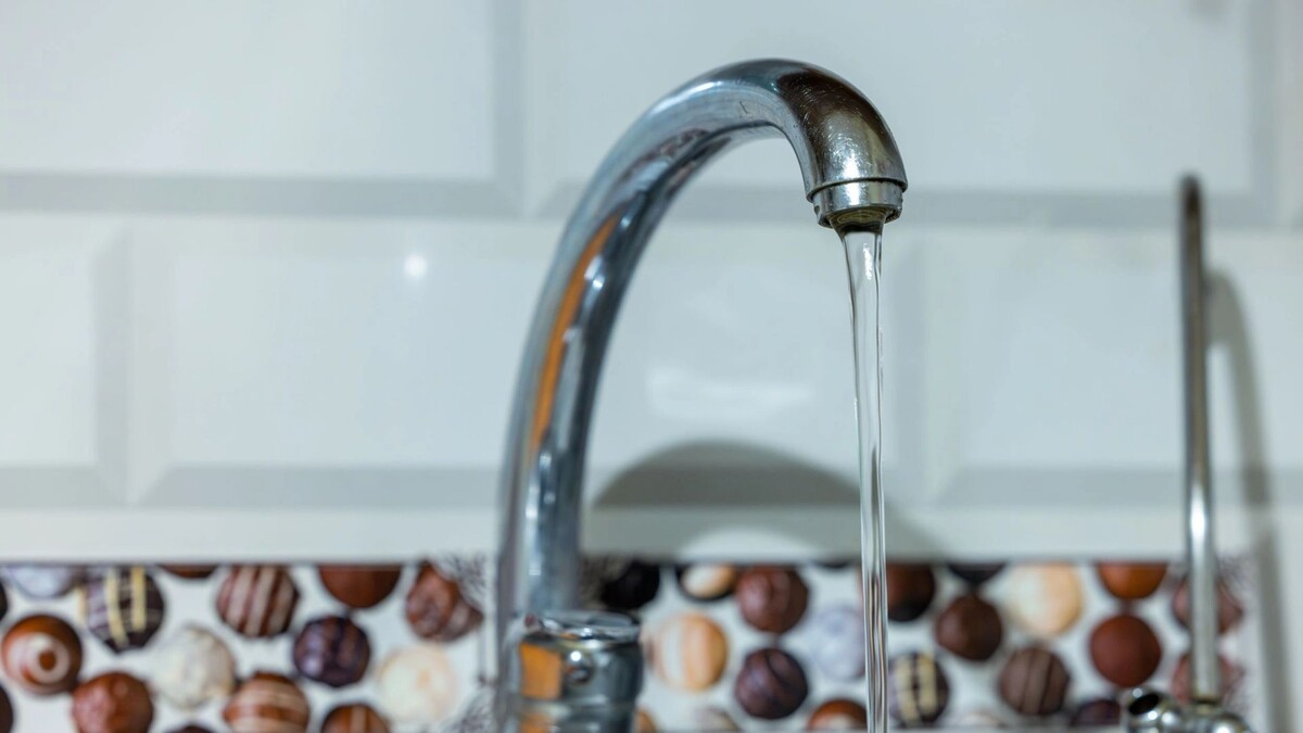    Фото: Федор Воронов/«Ямал-Медиа»