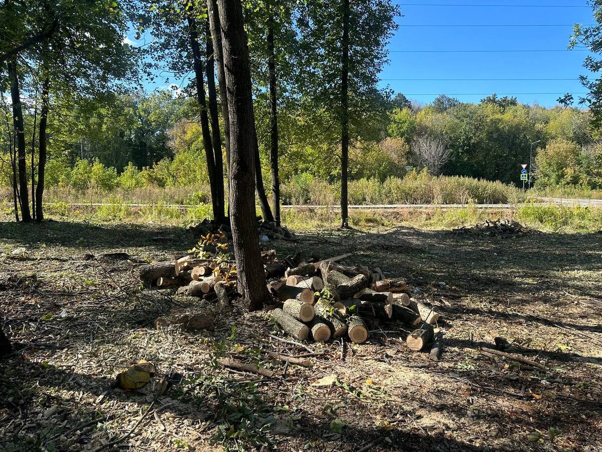    Автор фото: Яна Лаушкина