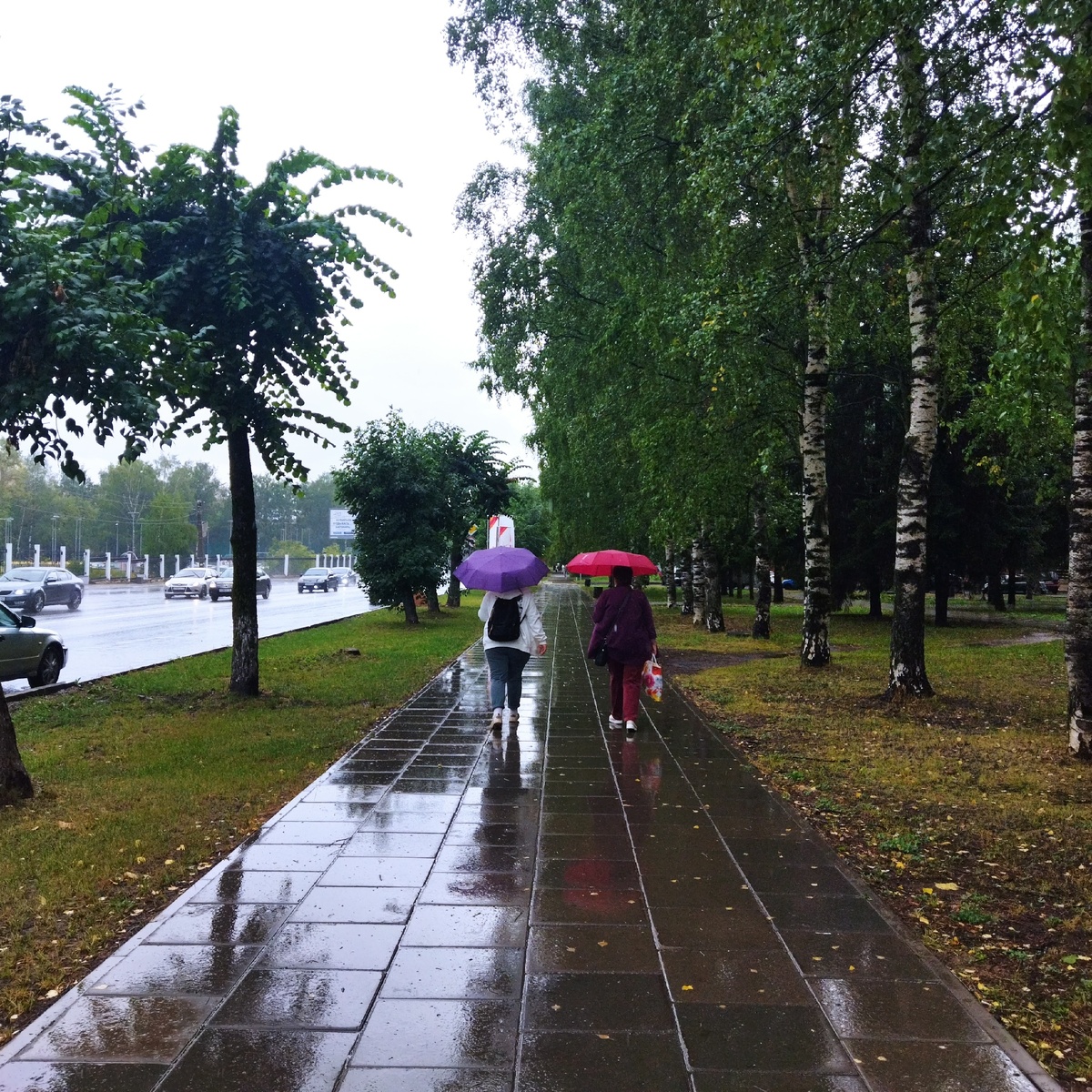    Холода придут очень рано: синоптики назвали точную дату старта осени