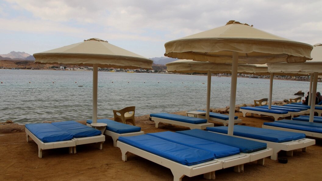    Фото: Maksim Konstantinov/Globallookpress