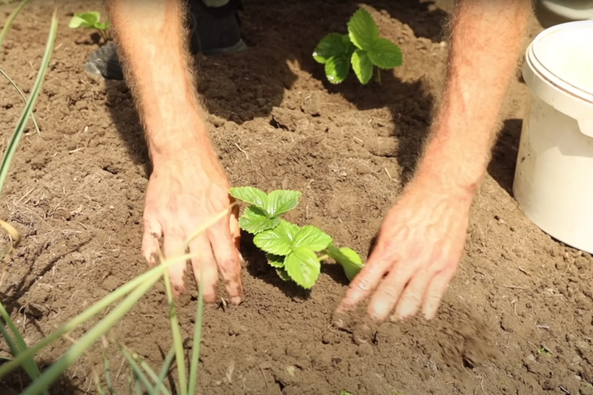 Скриншот видео